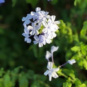 Meet your Posher, Steph